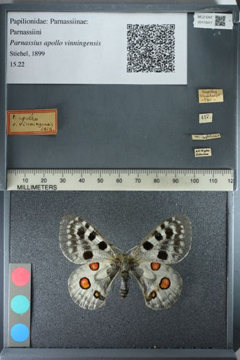 Media type: image;   Entomology 175417